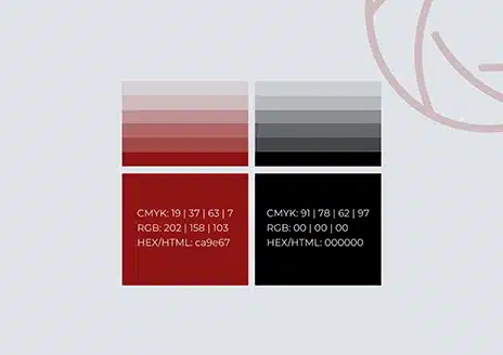 brand color palette design showing professional visual identity colors