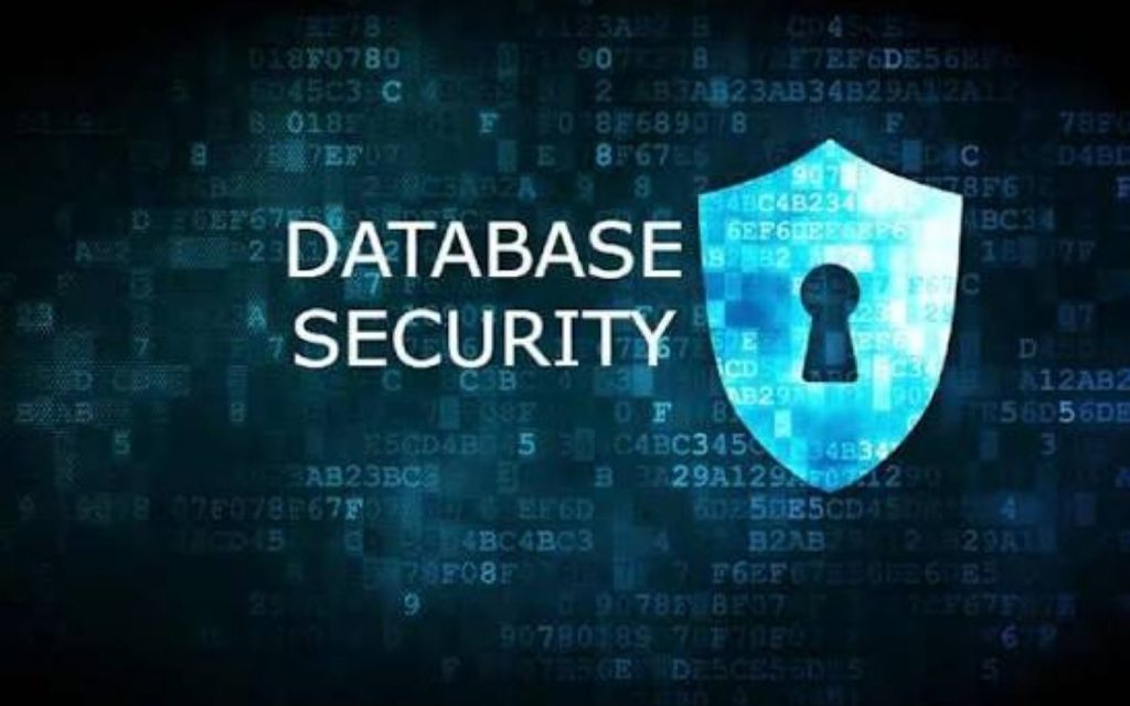 Database security protocols protecting sensitive business information